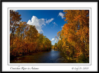 Cowichan River in Autumn