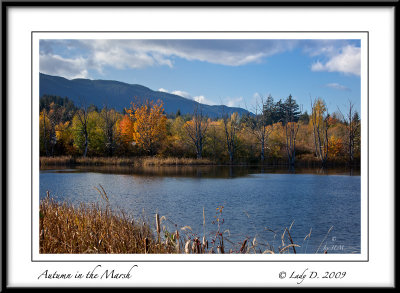 Autumn in the Marsh