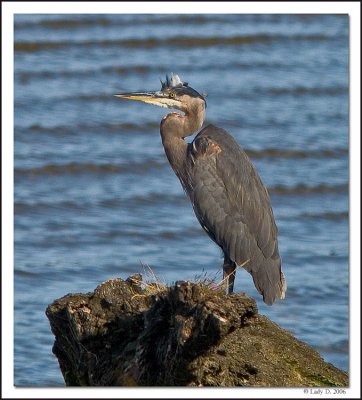 Waiting for the tide