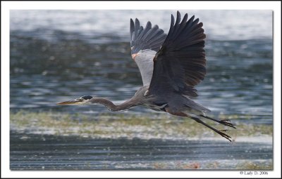 GBH just after take off