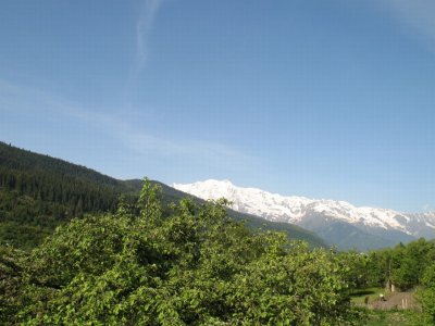 Georgia, Caucasus  2008