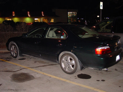 DSC00085.jpg