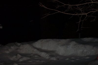 Winter Caroga2.jpg