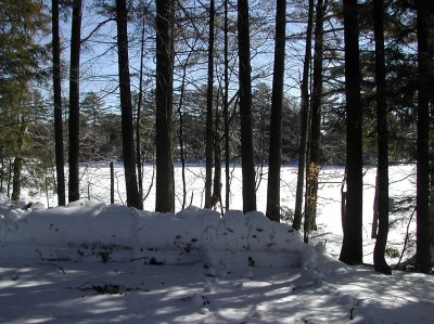DSCN1046.jpg