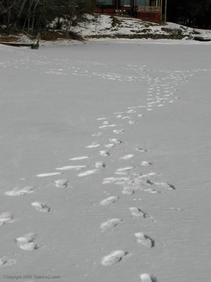 DSCN1081.jpg