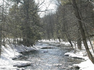 DSCN1098.jpg