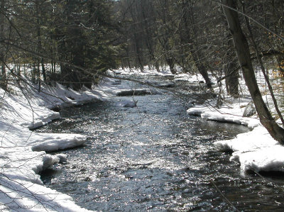 DSCN1099.jpg