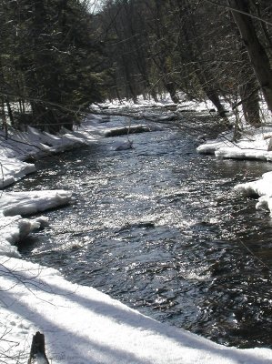 DSCN1100.jpg
