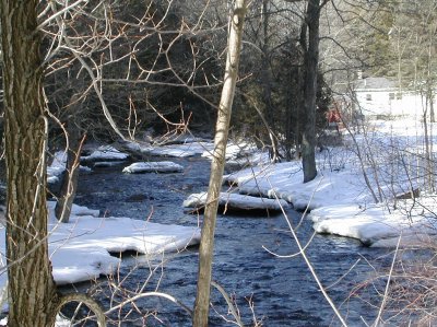 DSCN1101.jpg