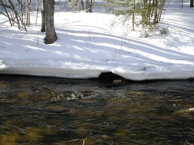 DSCN1102.jpg