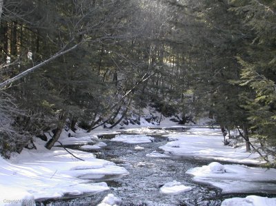 DSCN1105.jpg