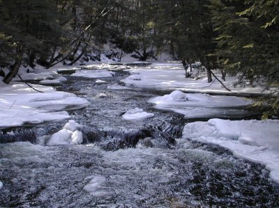 DSCN1106.jpg