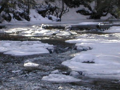 DSCN1107.jpg