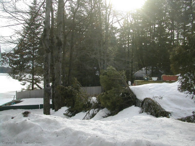 DSCN9209.jpg