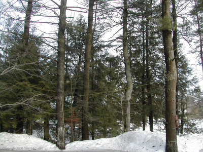 DSCN9216.jpg