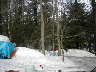 DSCN9217.jpg
