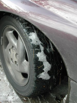 DSCN9219.jpg