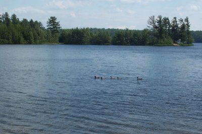 DCP_0059.jpg