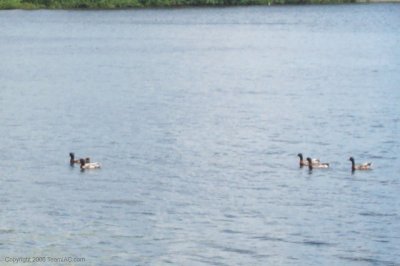 DCP_0060.jpg