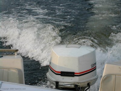 DSCN5428.jpg