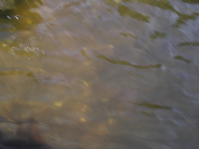 DSCN5682.jpg