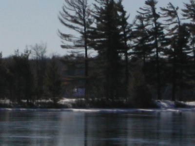 DSCN0156.jpg