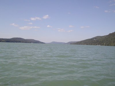 DSCN5611.jpg