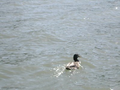 DSCN5616.jpg