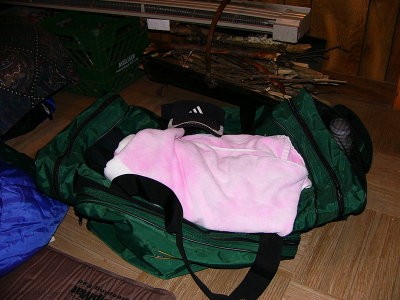 P1040391.jpg