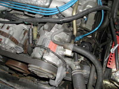 DSCN5848.jpg