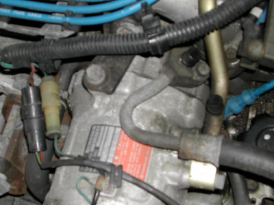 DSCN5850.jpg
