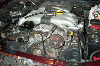 DCP_0095.jpg