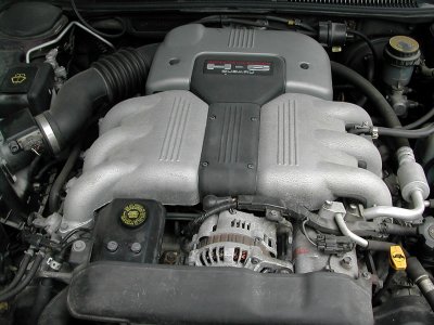 DSCN6186.jpg