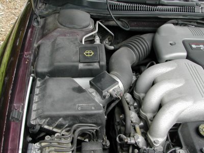 DSCN6187.jpg