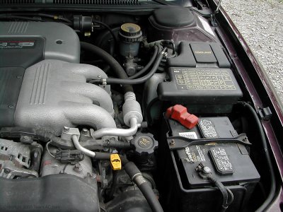 DSCN6188.jpg
