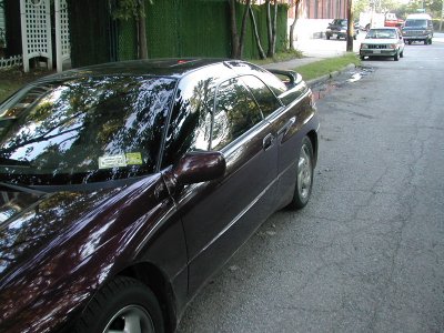 DSCN7363.jpg