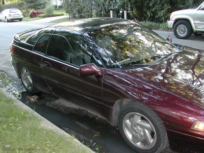 DSCN7369.jpg