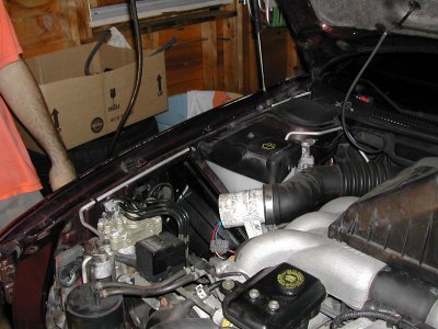 DSCN7385.jpg