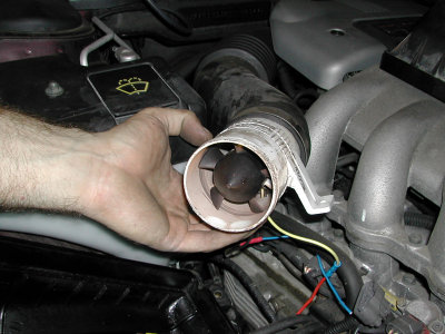 DSCN7386.jpg