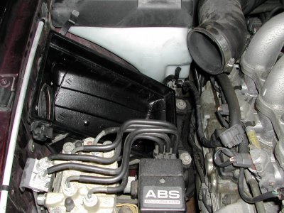 DSCN7389.jpg