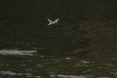 g5/85/823685/3/99400333.aGdFdeN5.jpg