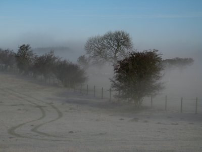misty field
