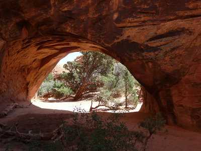Navajo Arch