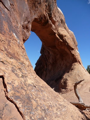 Partition Arch