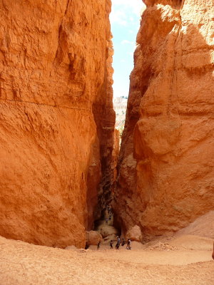 Navajo Canyon
