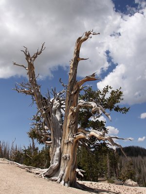dpf0656.JPG