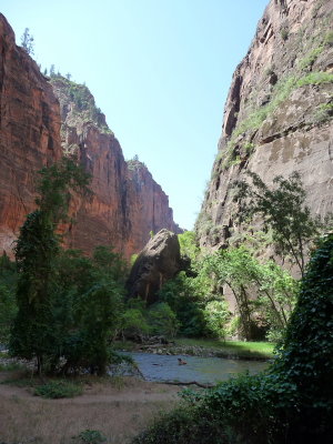 dpf0688.JPG