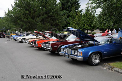 DSC_2538.jpg