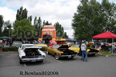 DSC_2554.jpg