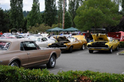 DSC_2563.jpg